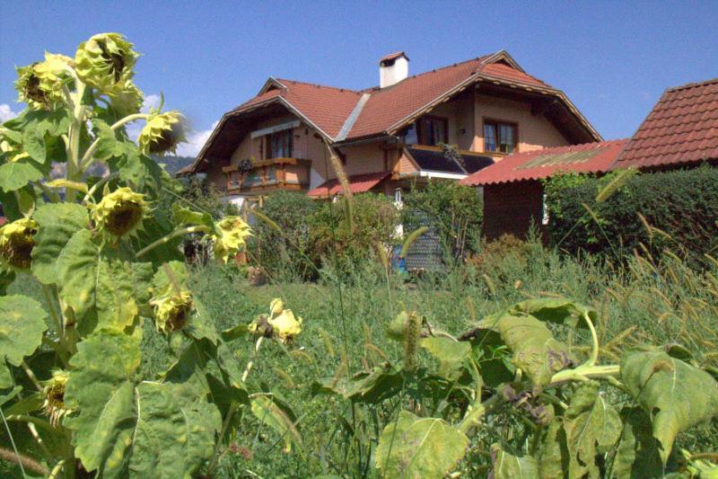 Ferienwohnung Galerie 7 Riegersdorf Εξωτερικό φωτογραφία